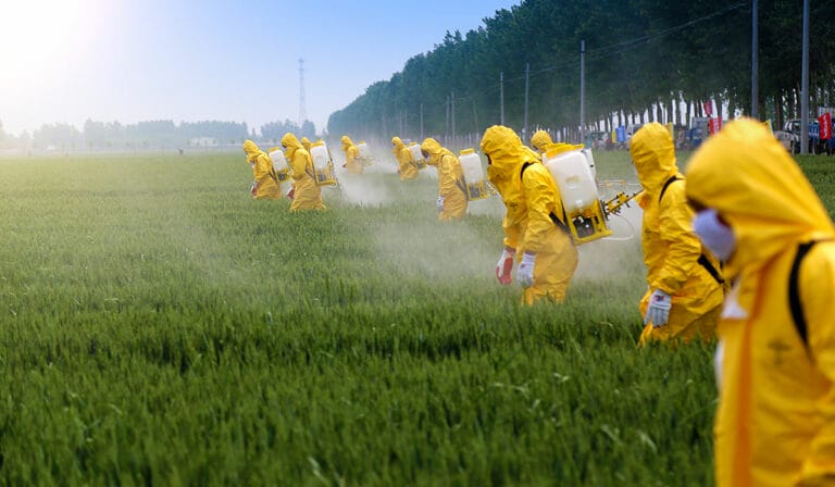 Lire la suite à propos de l’article Eau en bouteille en danger