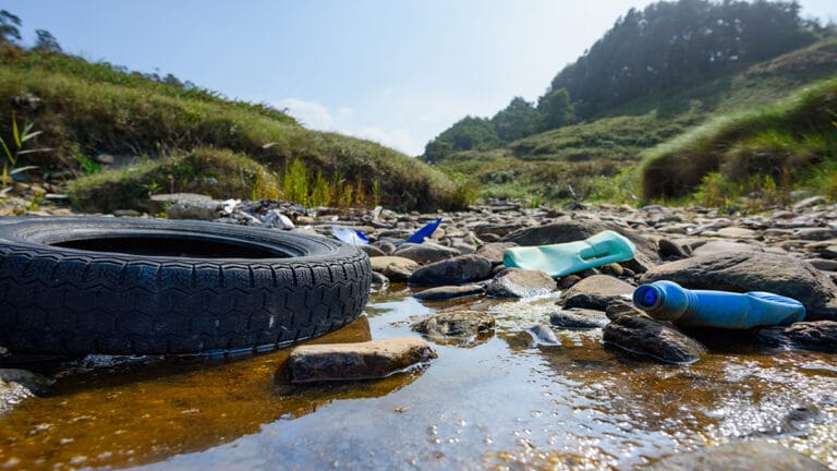 Lire la suite à propos de l’article CO₂ vs pollution de l’eau : un déséquilibre choquant