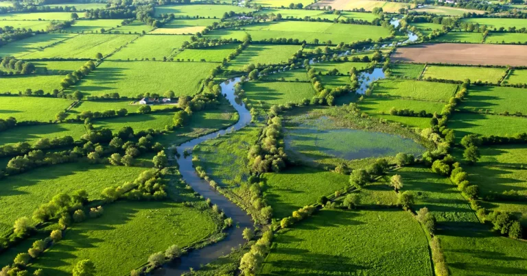 Lire la suite à propos de l’article Eau : pourquoi la France oppose encore irrigation et zones humides ?